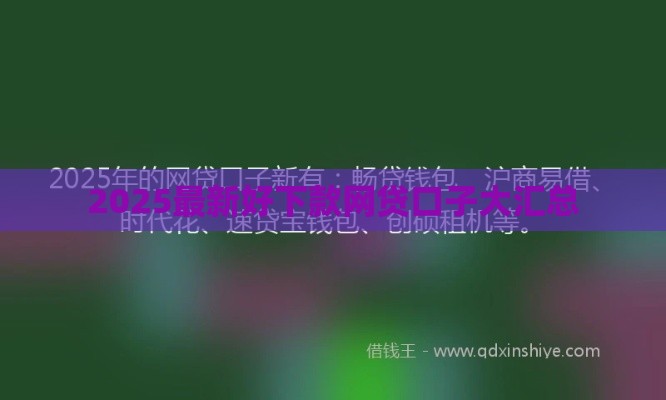 2025最新好下款网贷口子大汇总