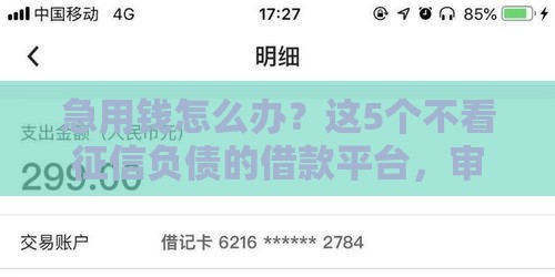 急用钱怎么办？这5个不看征信负债的借款平台，审核快下款稳！