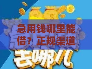 急用钱哪里能借？正规渠道盘点，快速到账避坑指南！