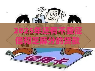 2025年还有不查征信和芝麻分的贷款吗？答案可能出乎意料