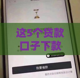 这5个贷款口子下款快还靠谱