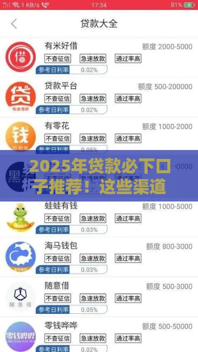 2025年贷款必下口子推荐！这些渠道你试过了吗？