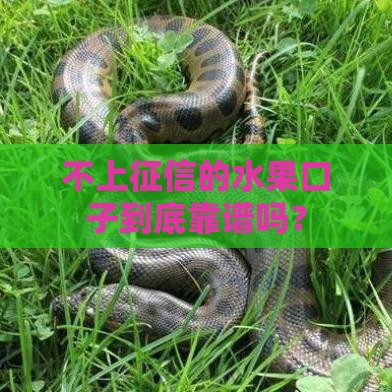 不上征信的水果口子到底靠谱吗？