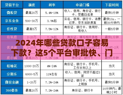 2024年哪些贷款口子容易下款？这5个平台审批快、门槛低