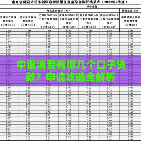 中银消费有哪几个口子贷款？申请攻略全解析