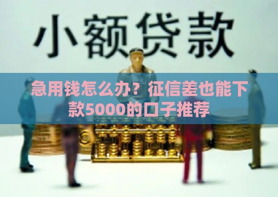 急用钱怎么办？征信差也能下款5000的口子推荐