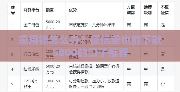 急用钱怎么办？征信差也能下款5000的口子推荐