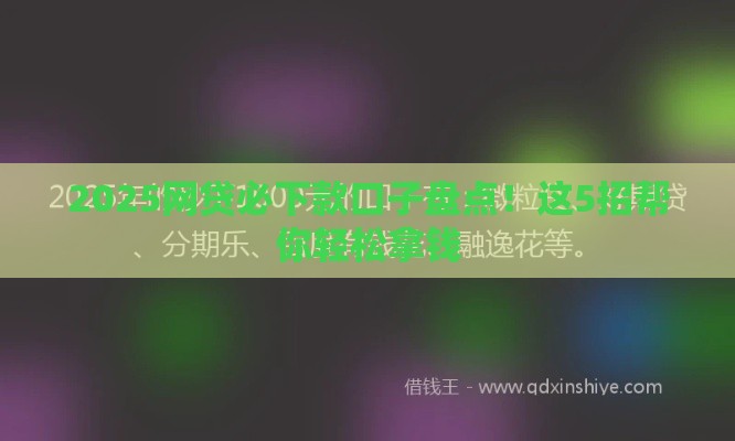 2025网贷必下款口子盘点！这5招帮你轻松拿钱