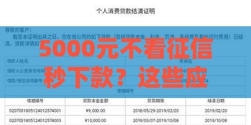 5000元不看征信秒下款？这些应急借款渠道请收好！