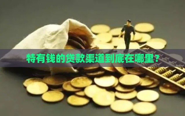 特有钱的贷款渠道到底在哪里？