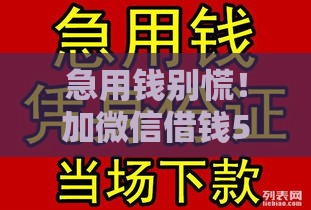 急用钱别慌！加微信借钱5000无需抵押，试试这个靠谱方法