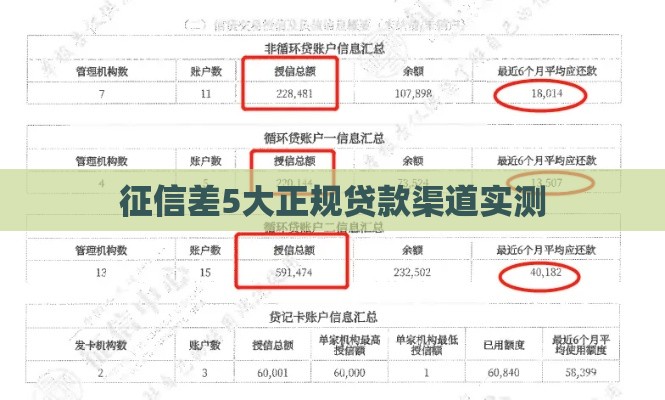 征信差5大正规贷款渠道实测