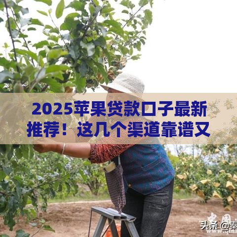 2025苹果贷款口子最新推荐！这几个渠道靠谱又省心