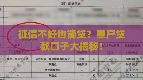 征信不好也能贷？黑户贷款口子大揭秘！