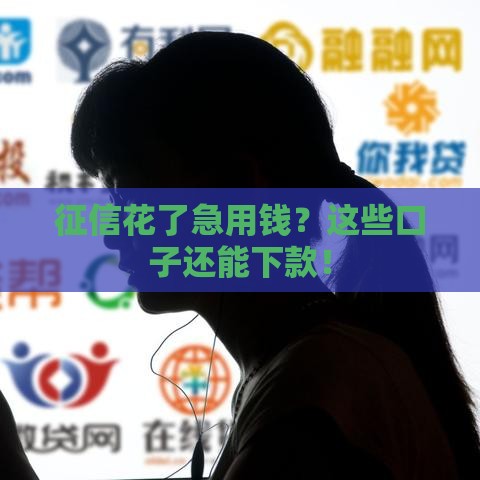 征信花了急用钱？这些口子还能下款！
