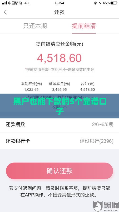 黑户也能下款的5个靠谱口子