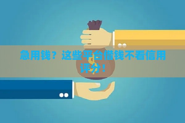 急用钱？这些平台借钱不看信用评分！