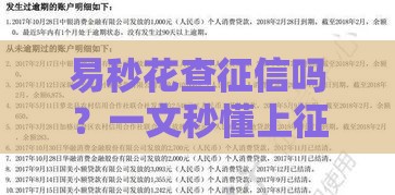 易秒花查征信吗？一文秒懂上征信那些事儿