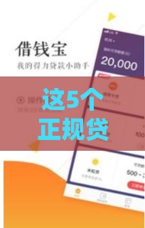 这5个正规贷款渠道下款快避坑指南