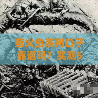 萤火虫系列口子靠谱吗？实测5款热门产品解析