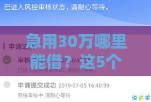 急用30万哪里能借？这5个正规贷款口子审核快利率低