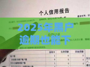 2025年黑户逾期也能下款的网贷平台？这5个渠道或许能救急