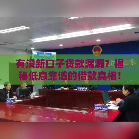 有没新口子贷款漏洞？揭秘低息靠谱的借款真相！