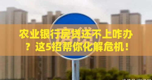农业银行房贷还不上咋办？这5招帮你化解危机！
