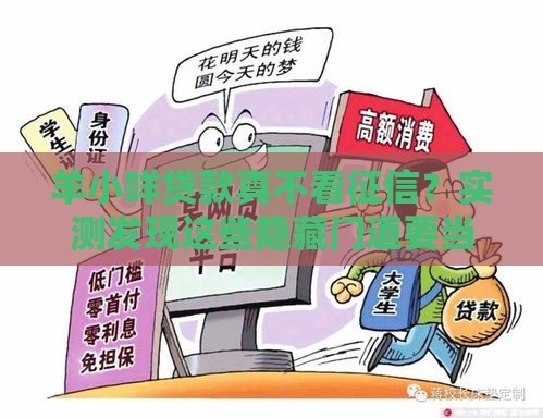 羊小咩贷款真不看征信？实测发现这些隐藏门道要当心