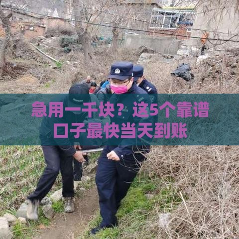 急用一千块？这5个靠谱口子最快当天到账