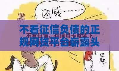 不看征信负债的正规网贷平台崭露头角？这几点必须了解