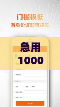 急用1000元？这5个正规贷款口子最快5分钟到账！