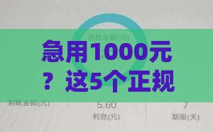 急用1000元？这5个正规贷款口子最快5分钟到账！