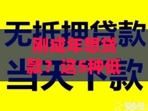 刚成年想贷款？这5种低门槛产品下款快，学生党必看！