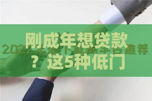 刚成年想贷款？这5种低门槛产品下款快，学生党必看！