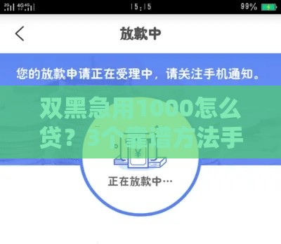 双黑急用1000怎么贷？3个靠谱方法手把手教你应急