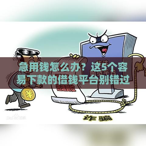 急用钱怎么办？这5个容易下款的借钱平台别错过！