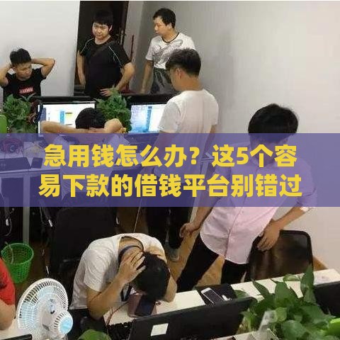 急用钱怎么办？这5个容易下款的借钱平台别错过！