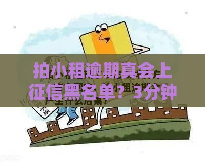 拍小租逾期真会上征信黑名单？3分钟说清后果和解决办法！