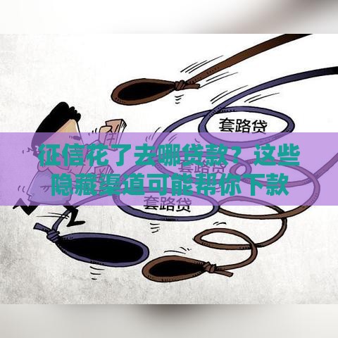 征信花了去哪贷款？这些隐藏渠道可能帮你下款