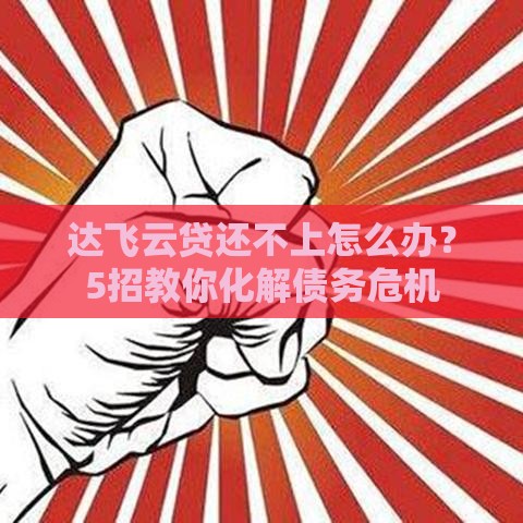 达飞云贷还不上怎么办？5招教你化解债务危机