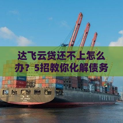 达飞云贷还不上怎么办？5招教你化解债务危机