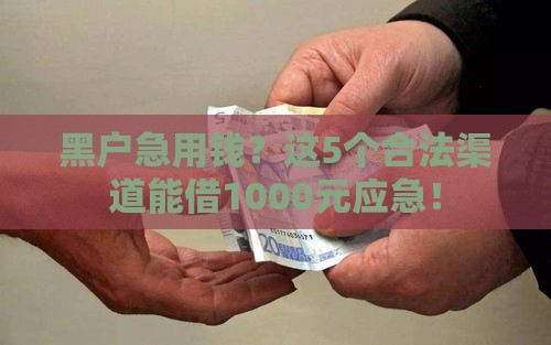 黑户急用钱？这5个合法渠道能借1000元应急！