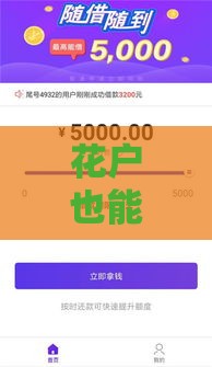 花户也能借钱？这5个口子亲测有效，不看征信也能下款！