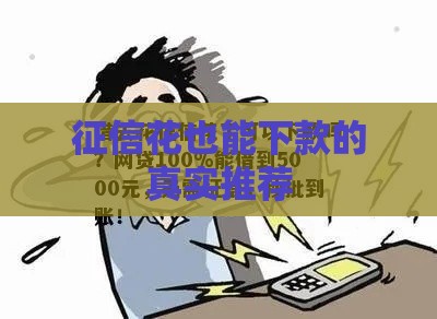 征信花也能下款的真实推荐