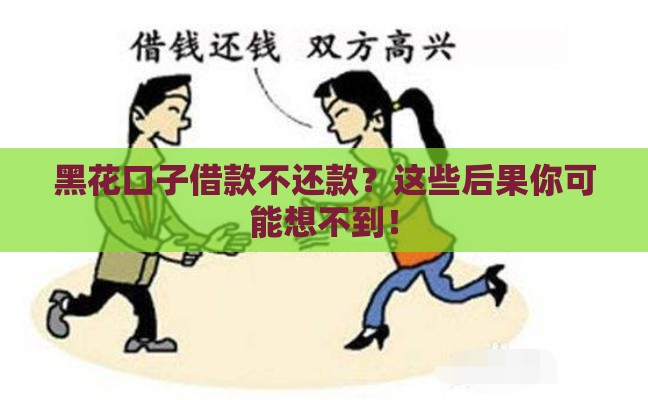 黑花口子借款不还款？这些后果你可能想不到！