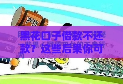 黑花口子借款不还款？这些后果你可能想不到！