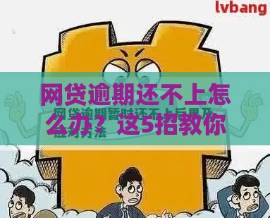 网贷逾期还不上怎么办？这5招教你化解危机