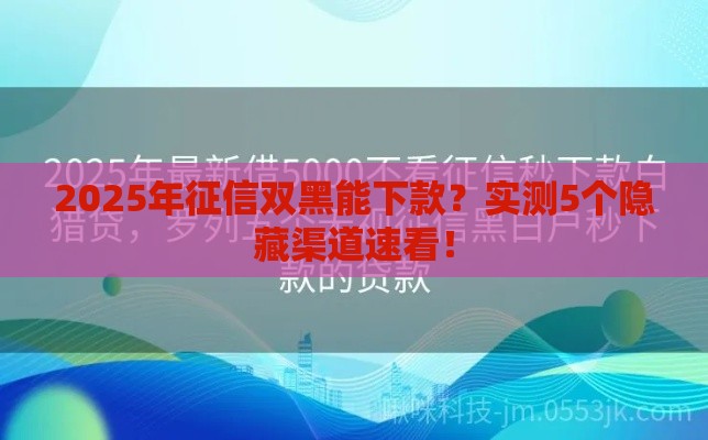 2025年征信双黑能下款？实测5个隐藏渠道速看！
