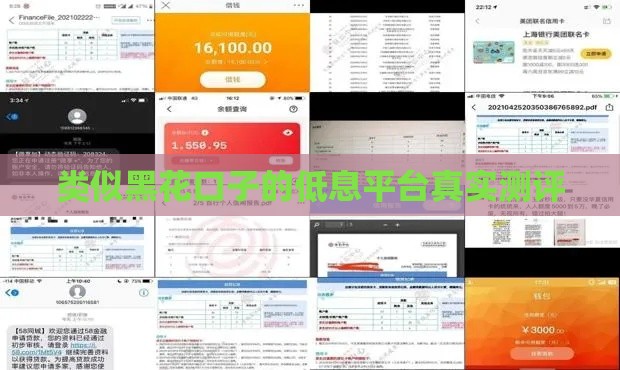 类似黑花口子的低息平台真实测评